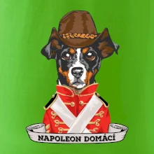Napoleon domácí pes kříženec