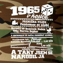 1965 v kostce