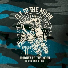 Fly To The Moon
