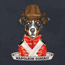 Napoleon domácí pes kříženec