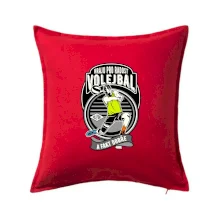 Hraju pro radost volejbal a fakt dobře