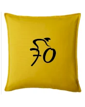 Cyklista slaví sedmdesátku (70)