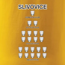 Slivovice počítání (Hana-creative) Slivovice počítání (Hana-creative)