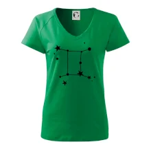 Souhvězdí - Gemini - Blíženci