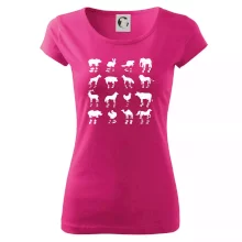 Zvířecí stopy s obrázkem zvířete - stopy zvířat