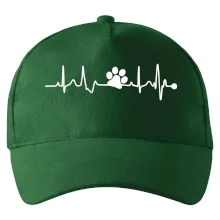 Ekg psí tlapka Ekg psí tlapka