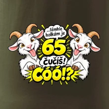 Těmhle holkám je 65, čučíš co?