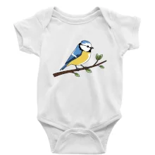 Sýkorka modřinka na větvi