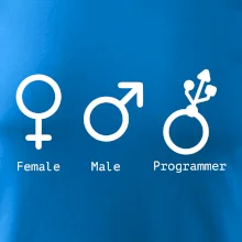 Female male programmer