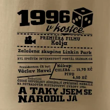 1996 v kostce