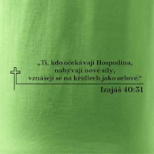 Citáty z bible - Izajáš 40:31