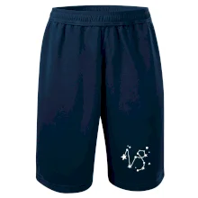 Souhvězdí - Capricorn - Kozoroh