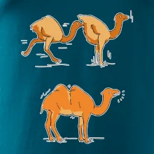 Pravda o velbloudech