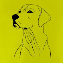 Labrador černá kresba