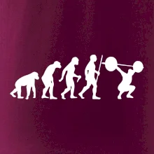 Evolution fitness Evolution fitness