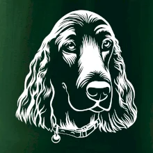 Kokršpaněl - hlava kreslená