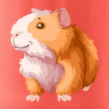 Morče - kreslené, bílo oranžové