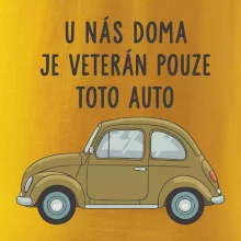 U nás doma je veterán pouze toto auto zelené
