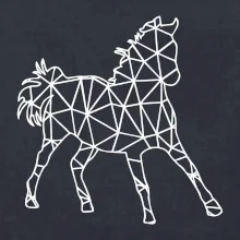 Geometrie - kůň jednobarevná