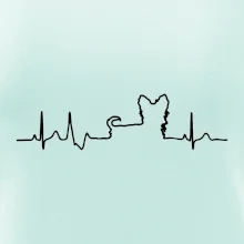Jorkšírský teriér EKG Jorkšírský teriér EKG