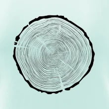 Letokruhy 85 bez věku