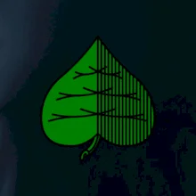 Prší - Zelený - prso