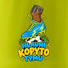 Hlavní kopyto týmu
