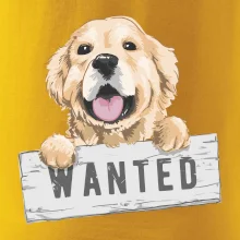 Zlatý retriever - štěně wanted