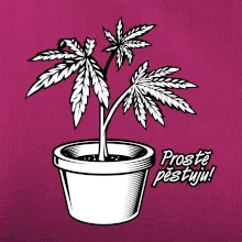 Konopi prostě pěstuju