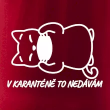 V karanténě to nedávám