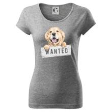 Zlatý retriever - štěně wanted