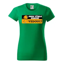 Jsem týhle stavby vedoucí