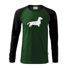 Jezevčík - Dachshund