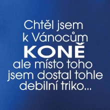 Chtěl jsem dostat k Vánocům koně