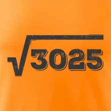Narozeniny odmocnina 55