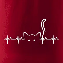 Kočka EKG