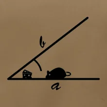 Matematická myš Matematická myš