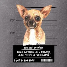 Lump a darebák čivava