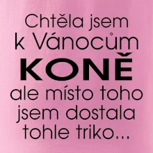 Chtěla jsem k Vánocům koně