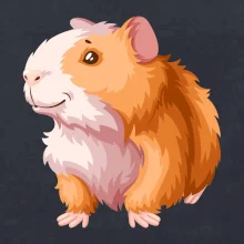 Morče - kreslené, bílo oranžové