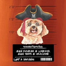 Lump a darebák pudl