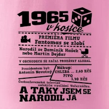 1965 v kostce
