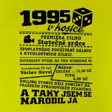 1995 v kostce