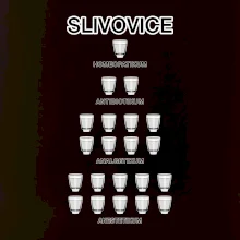 Slivovice počítání (Hana-creative)