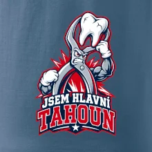 Jsem hlavní tahoun