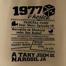 1977 v kostce
