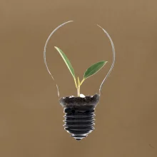 Žárovka květináč