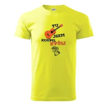 Tu kytaru jsem koupil kvůli tobě