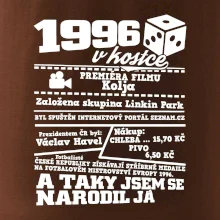 1996 v kostce