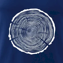 Letokruhy 100 bez věku